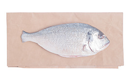 鲯鰍魚