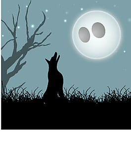 橫幅或背景為萬(wàn)圣節(jié)晚上的夜間背景幽靈狼的剪影