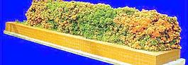 灌木055_效果圖植物配景素材
