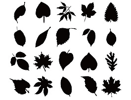 各種樹葉剪影矢量素材