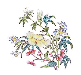 中國風 菊花
