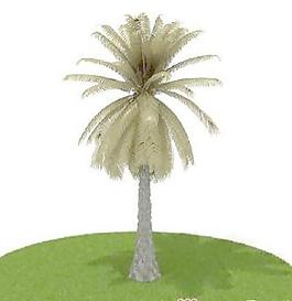 國外植物3D模型1-5