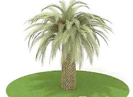 國外植物3D模型1-4