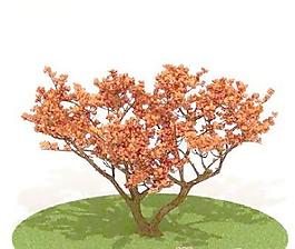 國外植物3D模型2-3