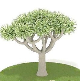 國外植物3D模型2-1