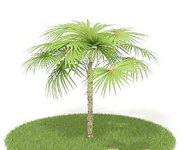 國外植物3D模型3-4