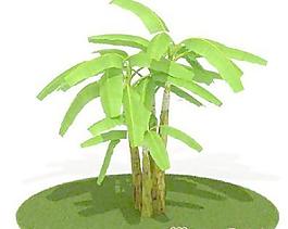 國外植物3D模型3-2