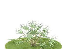 國外植物3D模型3-1