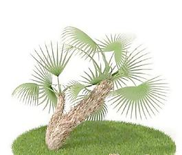 國外植物3D模型6-3