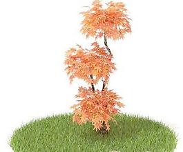 國(guó)外植物3D模型10-1