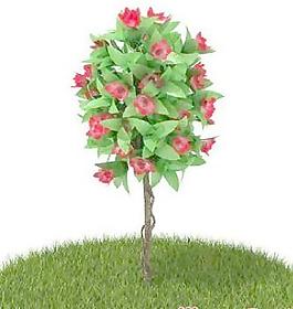 國外植物3D模型10-2