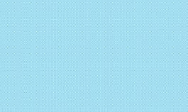 日本象素242