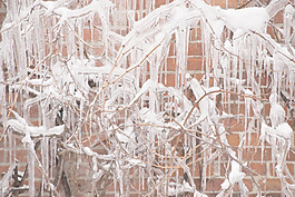 icicled