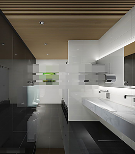 公共場所衛(wèi)生間