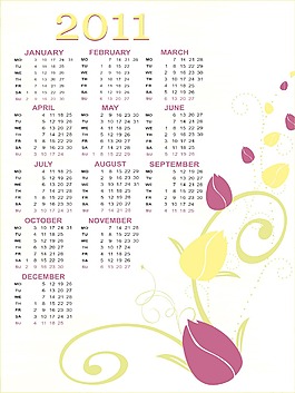 矢量日歷的新年2011