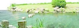 景观环境070－水体(水池)——背景素材
