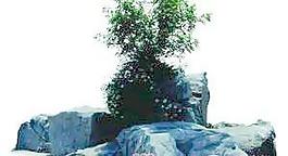景觀環(huán)境037——背景素材