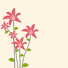 美麗的花卉背景