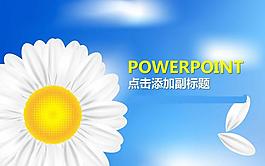 野菊花背景PPT模板