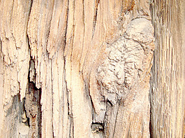 distressed_wood
