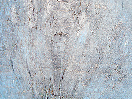 pine_wood