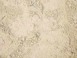 soil_surface
