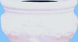 花缽285——小品素材