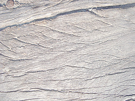 empty_wooden_texture