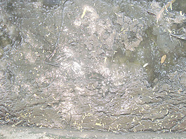 mud_texture