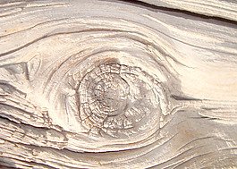 tree_knot