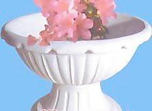 花钵191——小品素材
