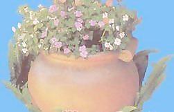 花缽189——小品素材
