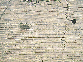 striped_wood