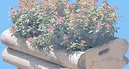花缽162——小品素材