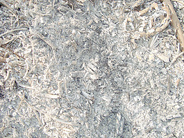 ashes_texture