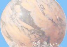 花缽136——小品素材