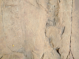 rock_texture_picture