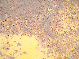 rust_surface