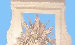 花缽111——小品素材
