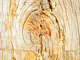 texture_wooden