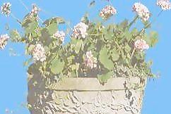 花缽081——小品素材