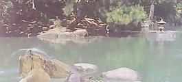 配景山071——小品素材