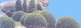 配景山037——小品素材