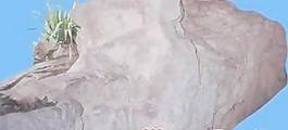 塑石060——小品素材