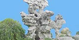 假山099——小品素材
