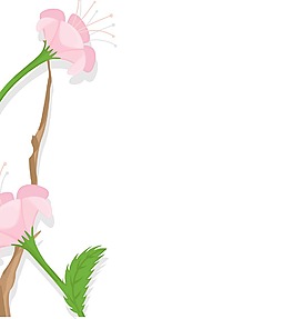 粉红色的雏菊矢量banner设计