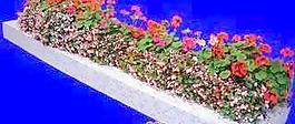 花壇108——植物素材