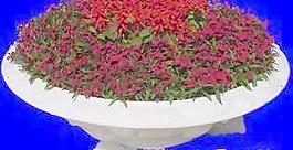 花壇040——植物素材