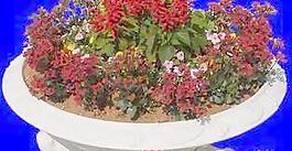 花壇044——植物素材