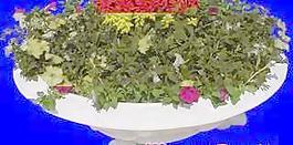 花壇039——植物素材